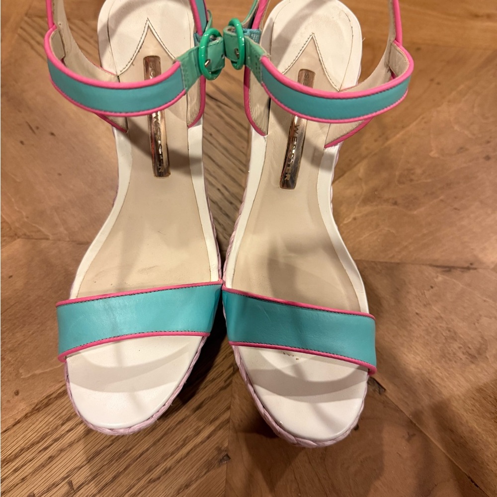 Sophia Webster Multicolor Lucita Raffia Wedge Sandals